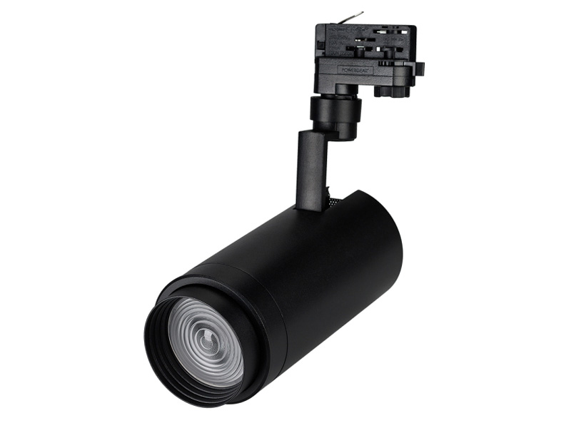 Купить светильник lgd-zeus-truecolor-4tr-r100-30w cri98 (20-60 deg, 230v)