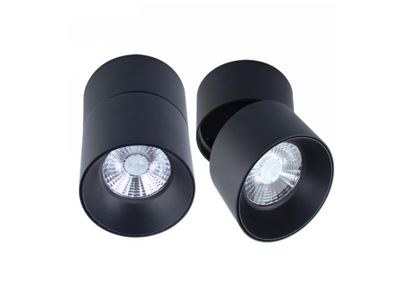 Купить Светильник накладной поворотно-откидной LP -110-25W 